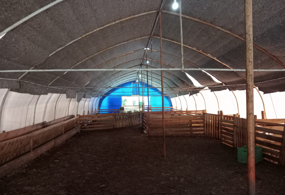 ikinci el koyun cadiri 1