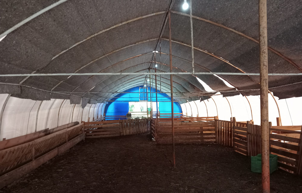 ikinci el koyun cadiri 4